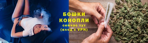 соль ск Абаза