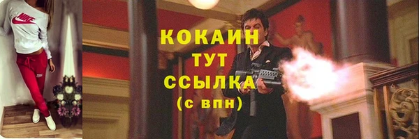 соль ск Абаза