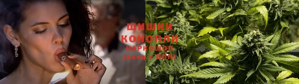 соль ск Абаза