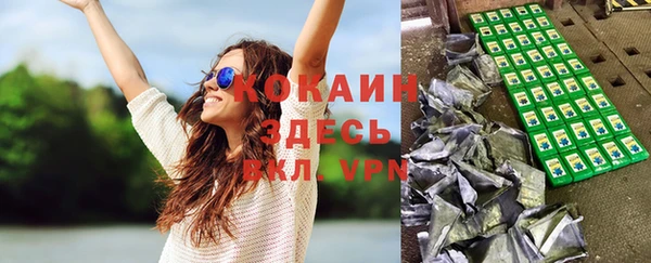 соль ск Абаза