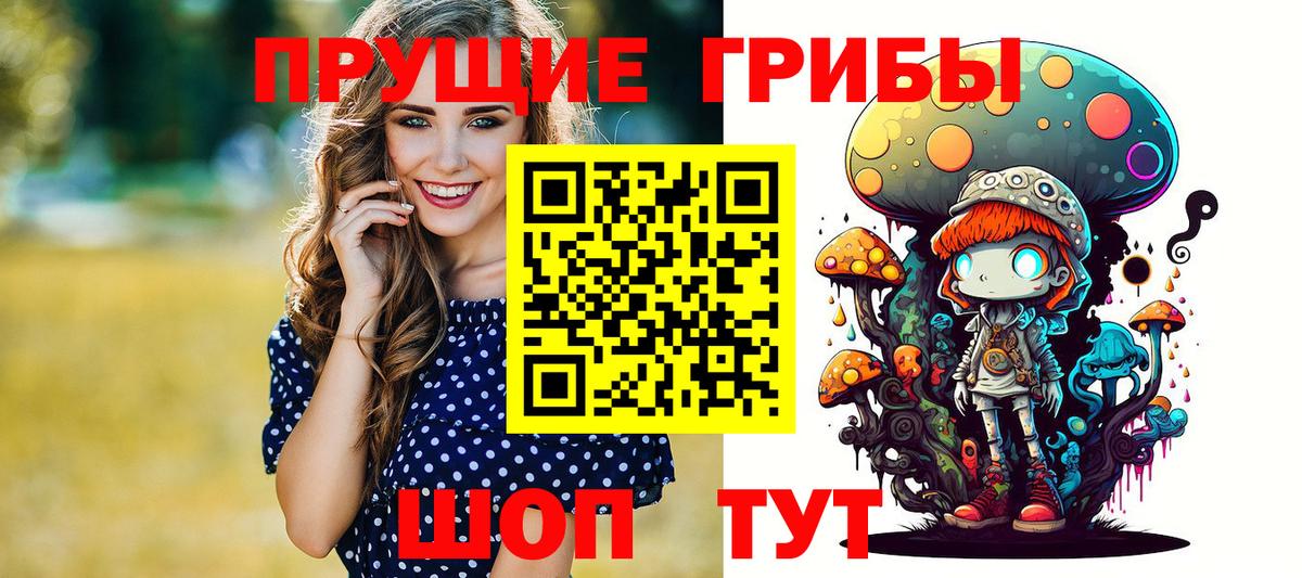 Галлюциногенные грибы Psilocybe  Вход с VPN  Отрадный 