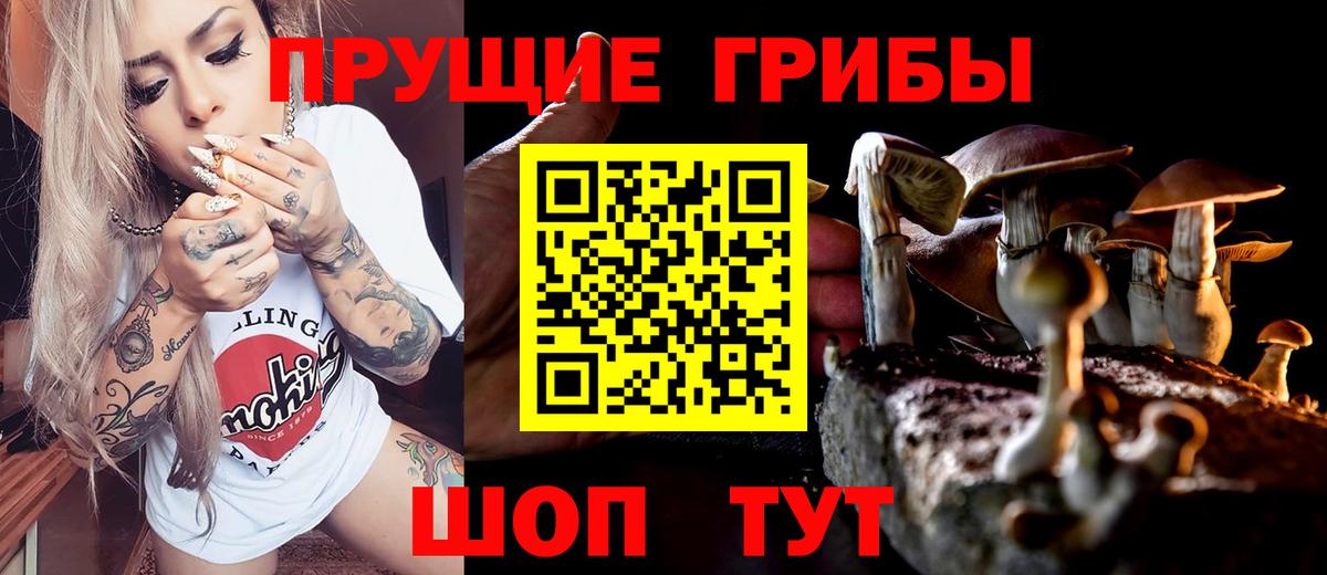 Псилоцибиновые грибы Psilocybine cubensis Отрадный